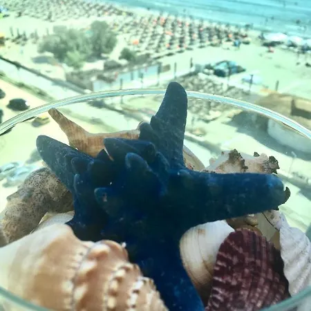 アパート Velvet 43 Pe Plaja *